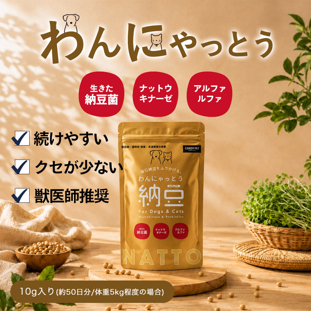 Natto Sararahime 50g อาหารเสริมสุนัข อาหารเสริมโภชนาการชนิดผง Natto