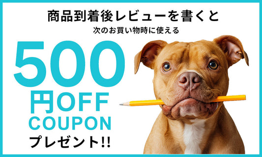 レビューを書いてクーポンをゲット！