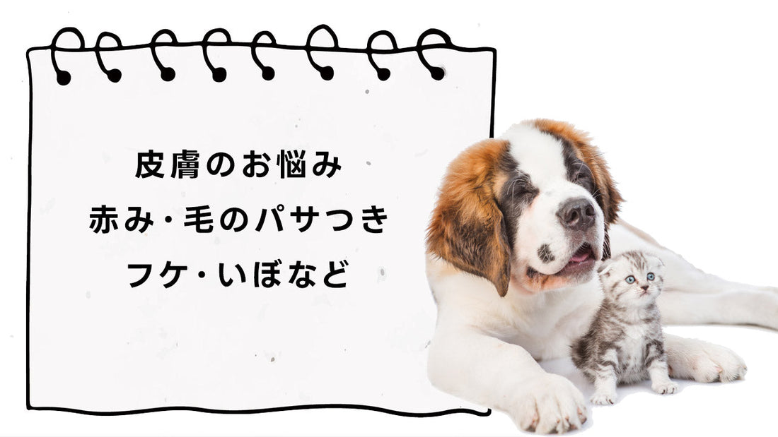 犬 猫 ペット 皮膚の痒み・赤み・パサつき・フケ・イボなどのお悩み