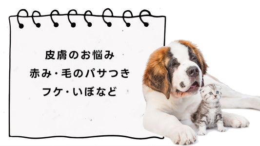犬 猫 ペット 皮膚の痒み・赤み・パサつき・フケ・イボなどのお悩み