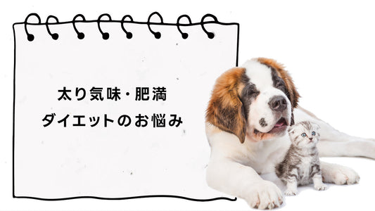 犬 猫 ペット 太り気味・肥満・ダイエットのお悩み