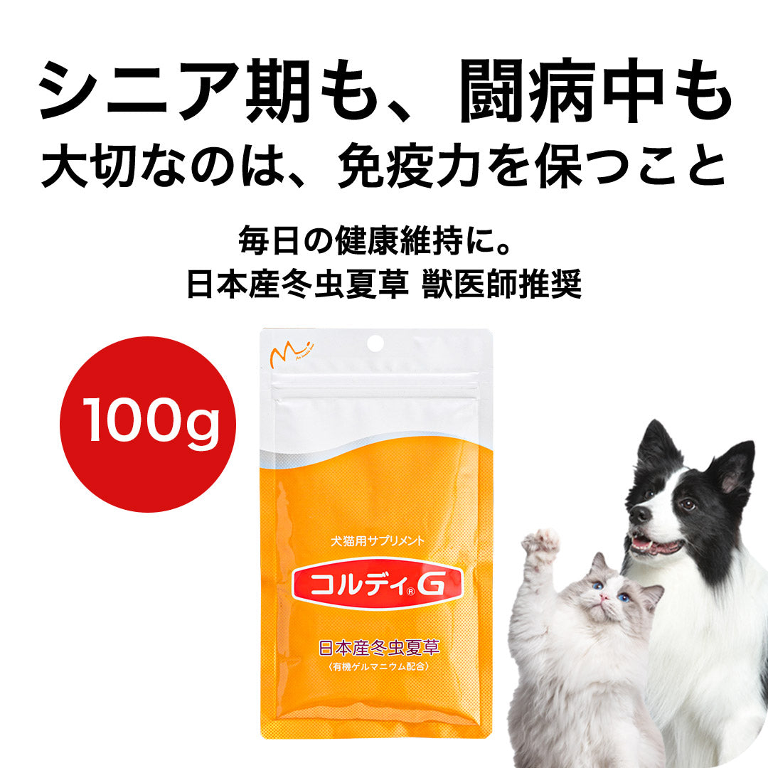 Cordy M / Cordy G