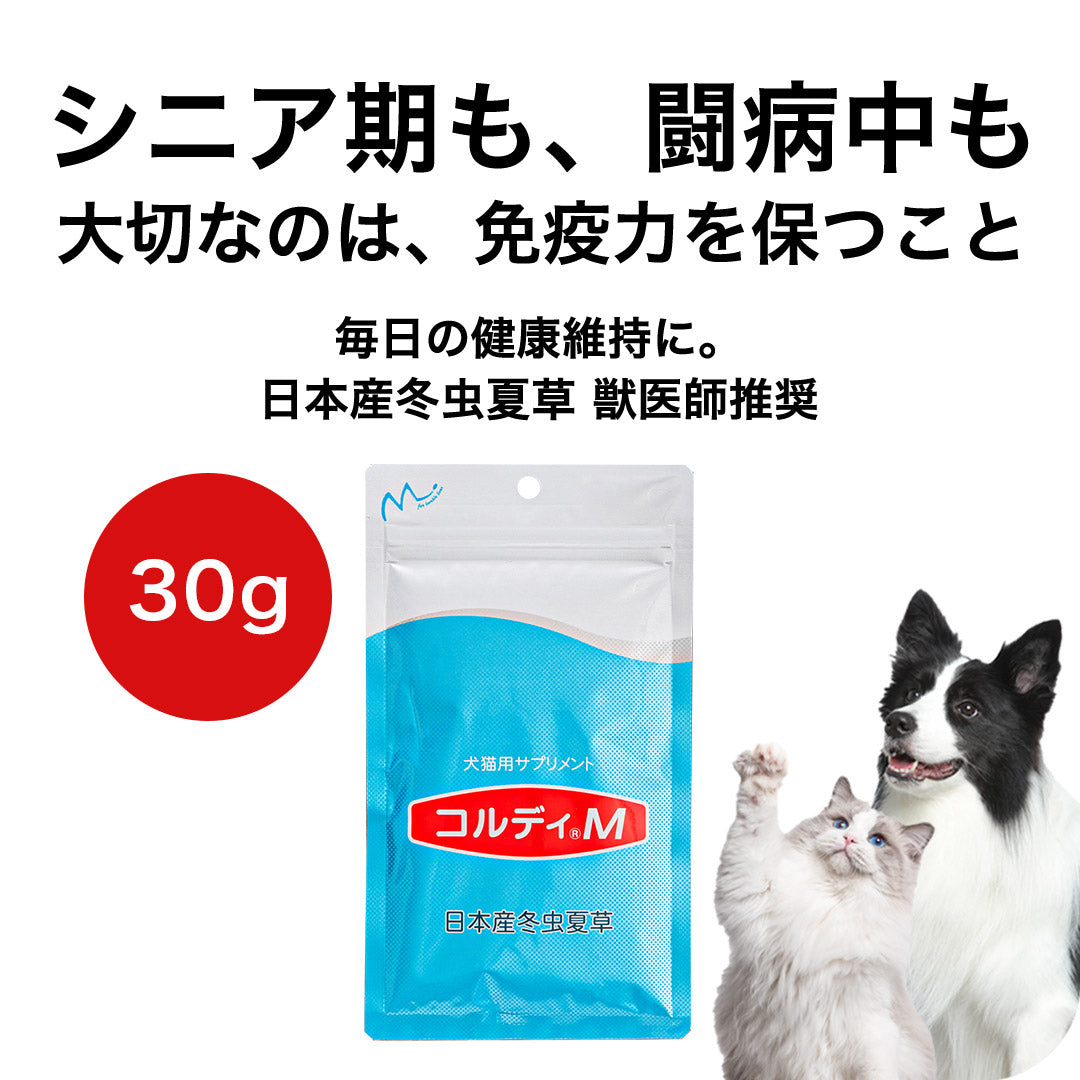 Cordy M / Cordy G