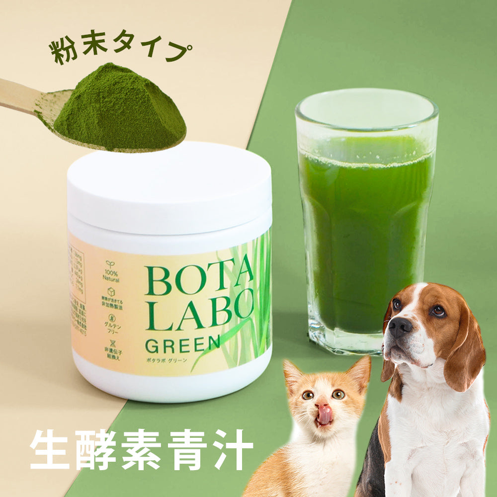 BOTA LABO GREEN（ボタラボグリーン）180g 青汁 粉末 ボタラボグリーン/180g | 商品紹介 | SKK
