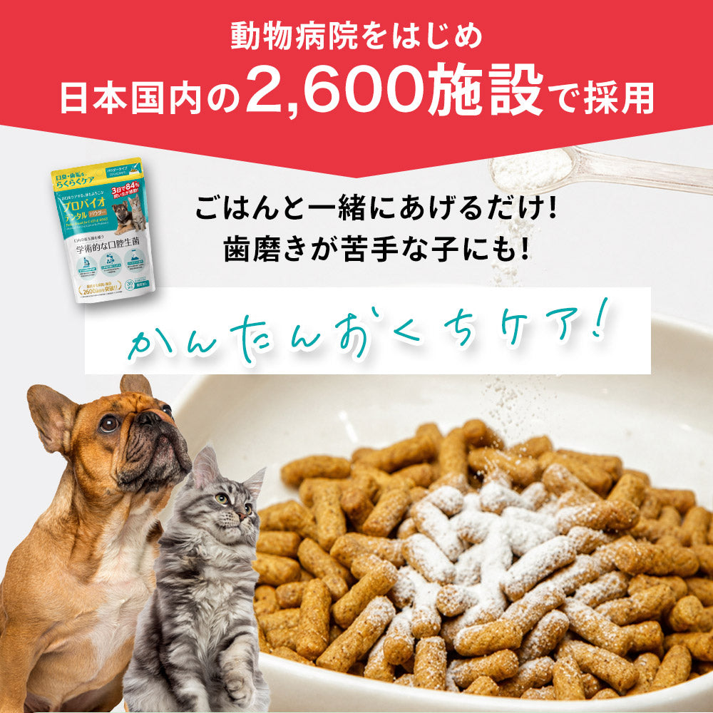 プロバイオデンタル パウダータイプ 7.35g（付属スプーン約30杯分）犬 猫 サプリメント デンタルケア