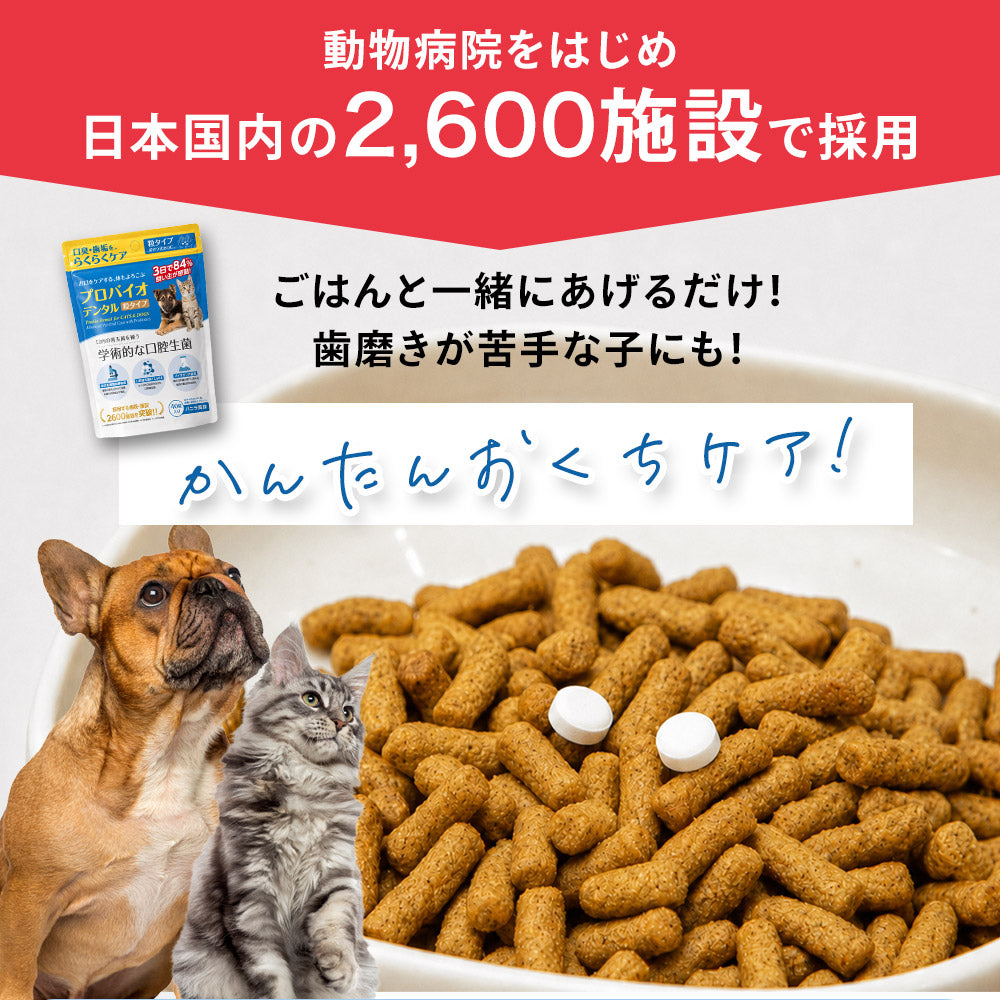 Natto Sararahime 50g อาหารเสริมสุนัข อาหารเสริมโภชนาการชนิดผง Natto