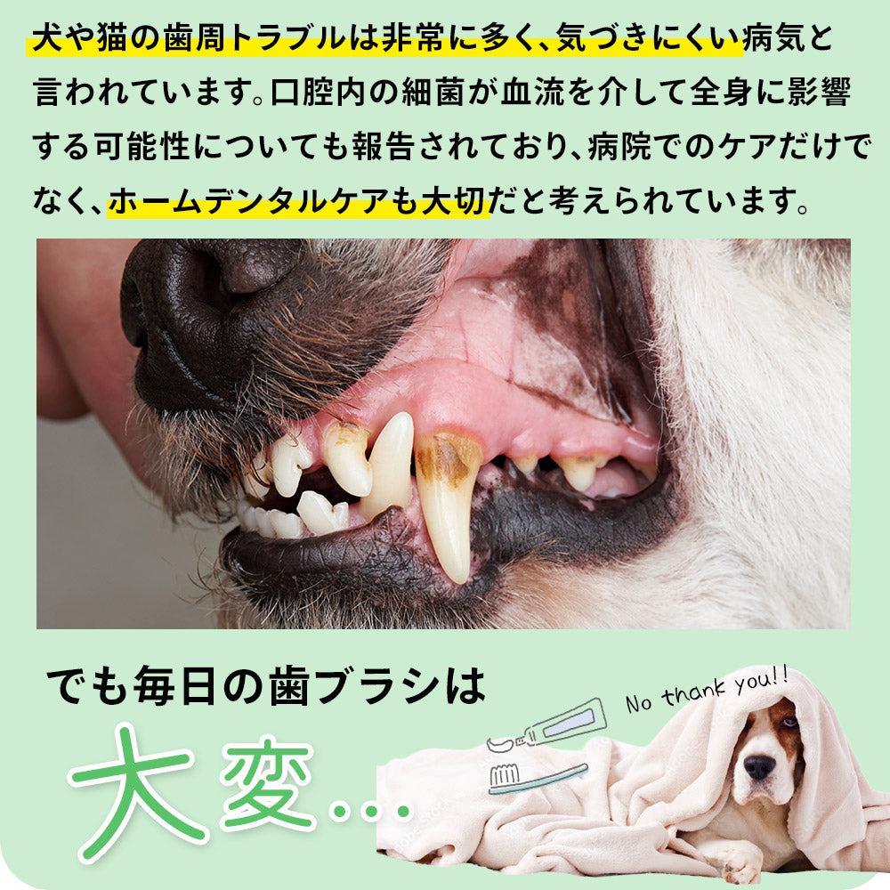 プロバイオデンタル パウダータイプ 7.35g（付属スプーン約30杯分）犬 猫 サプリメント デンタルケア