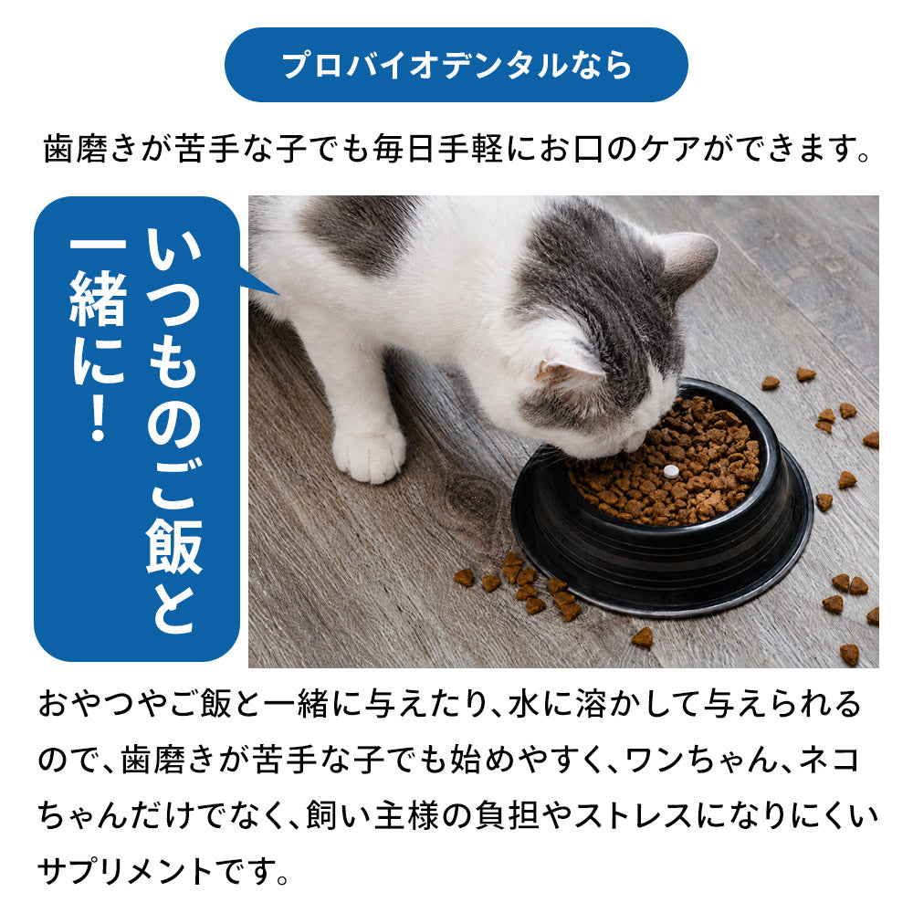 Natto Sararahime 50g อาหารเสริมสุนัข อาหารเสริมโภชนาการชนิดผง Natto