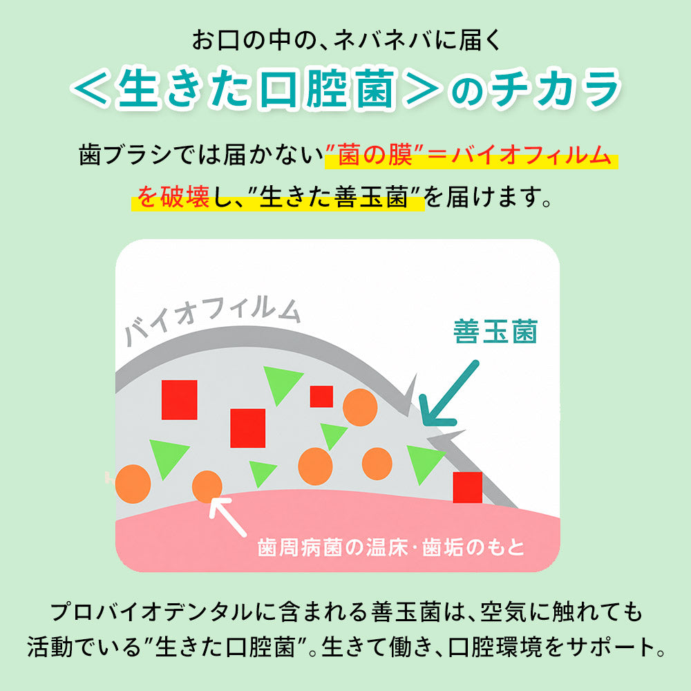 プロバイオデンタル パウダータイプ 7.35g（付属スプーン約30杯分）犬 猫 サプリメント デンタルケア