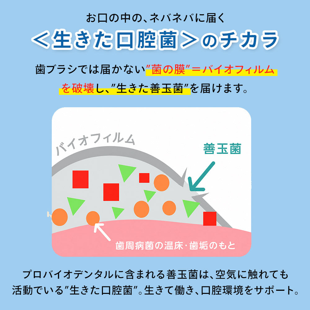 Natto Sararahime 50g อาหารเสริมสุนัข อาหารเสริมโภชนาการชนิดผง Natto