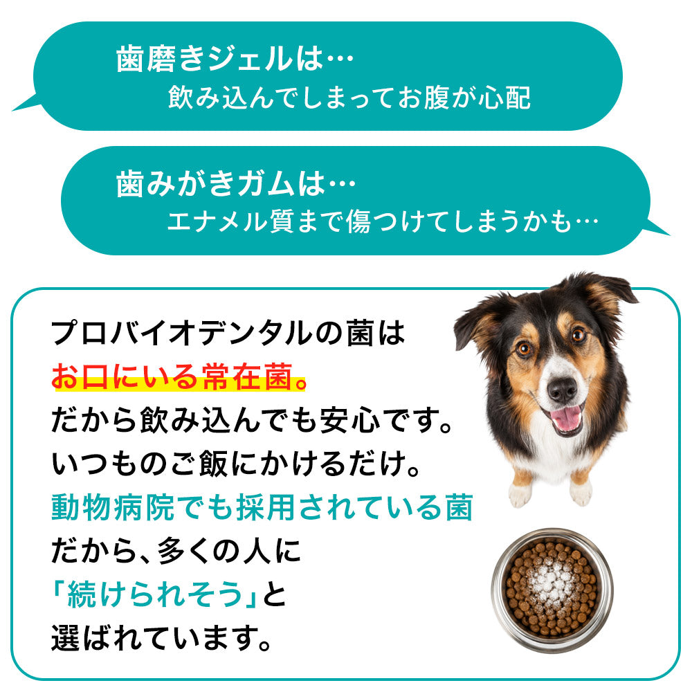 プロバイオデンタル パウダータイプ 7.35g（付属スプーン約30杯分）犬 猫 サプリメント デンタルケア