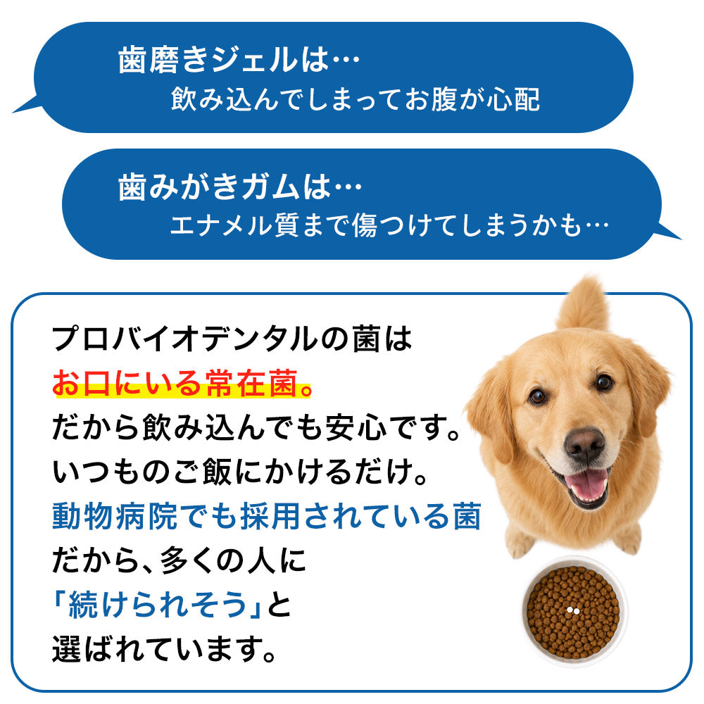 Natto Sararahime 50g อาหารเสริมสุนัข อาหารเสริมโภชนาการชนิดผง Natto
