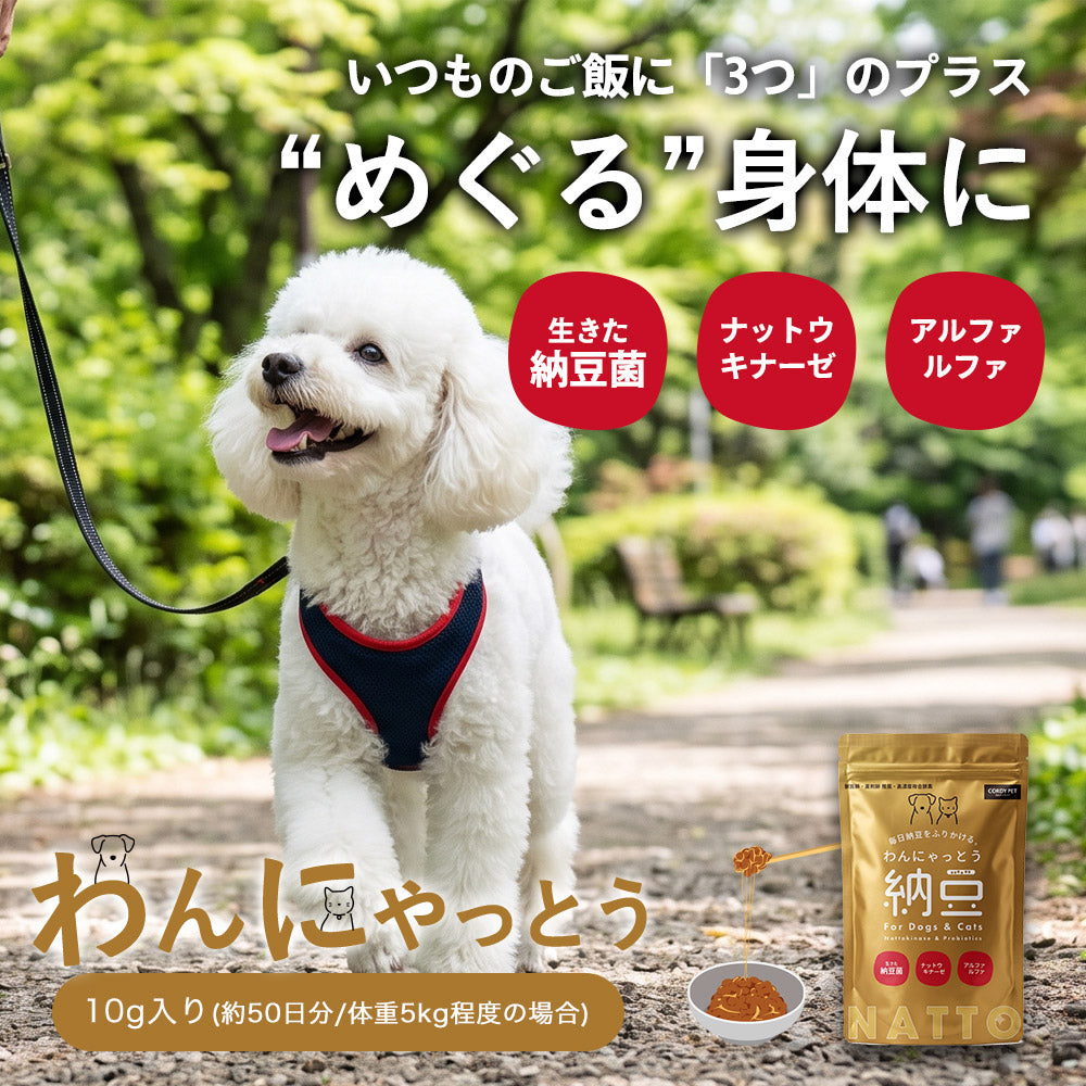 Natto Sararahime 50g อาหารเสริมสุนัข อาหารเสริมโภชนาการชนิดผง Natto