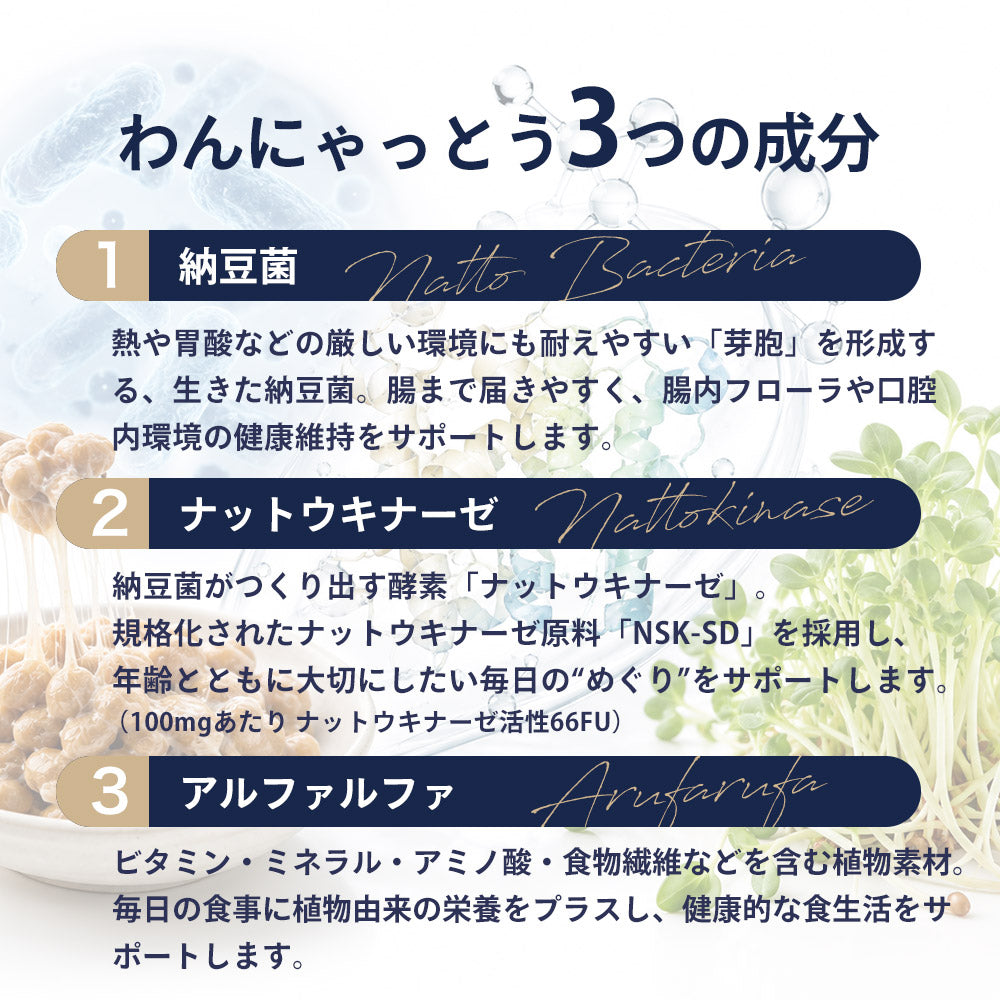 Natto Sararahime 50g อาหารเสริมสุนัข อาหารเสริมโภชนาการชนิดผง Natto
