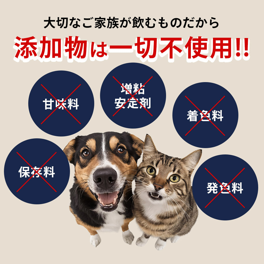 Natto Sararahime 50g อาหารเสริมสุนัข อาหารเสริมโภชนาการชนิดผง Natto